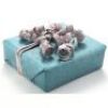 Carlisle and Esme Cullen's Present for Bella