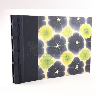 Bella Swan's Scrapbook and Folded Photograph