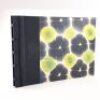 Bella Swan's Scrapbook and Folded Photograph