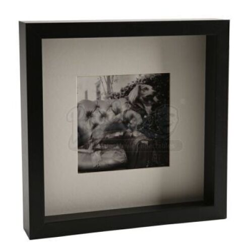 Cullen House Framed Dog Photograph