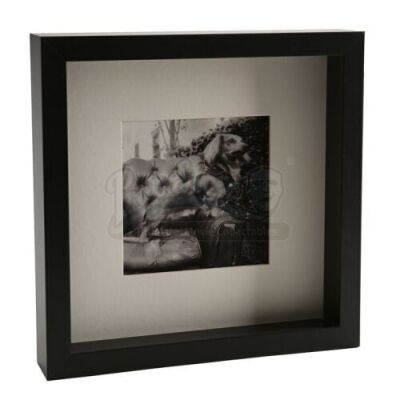 Cullen House Framed Dog Photograph