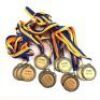 Forks High School Achievement Medals