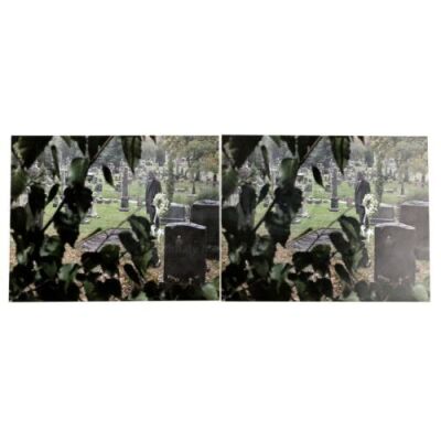 Lot # 17: MARVEL'S JESSICA JONES (TV SERIES) - Pair of Jessica Jones' Luke Cage Graveside Photos