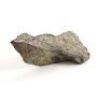 Bella Swan's Hard Plastic Rock Shard