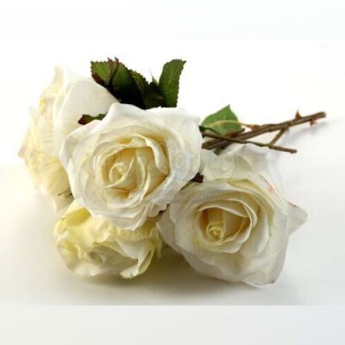 Nightmare Wedding Roses