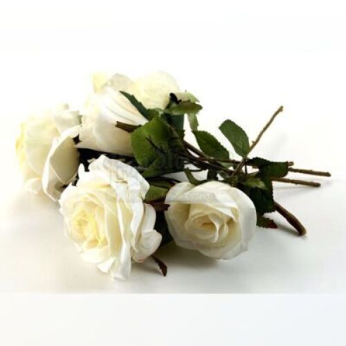 Nightmare Wedding Roses