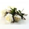 Nightmare Wedding Roses