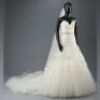 Bella Swan's Nightmare Wedding Dress and Veil
