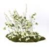 Wedding Table Moss and Flower Display