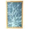 Cullen House Framed Branch Print