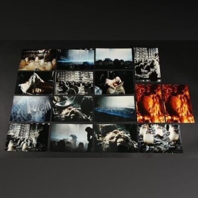 Lot # 25 - Alien & Aliens Collection Auction - Behind the Scenes Photographs of the Eggs