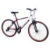 Lot # 21: FRIENDS - Schwinn Bicycle Crew Gift