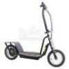 Lot # 34: FRIENDS - Electric Scooter Crew Gift