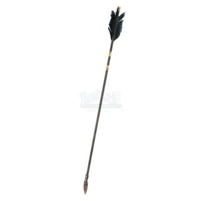 Lot #5 - Alexander - Black Persian Arrow