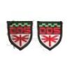 Lot #41 - Doomsday - Two Green Line Pattern DDS Uniform Patches