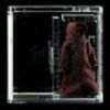 Lot # 306: Loose Jawa AFA U90