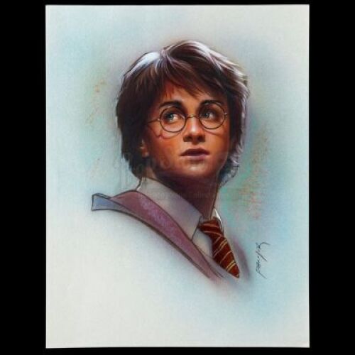 Lot # 478: Harry Potter Promo Concept Illustration