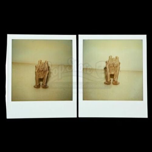 Lot # 615: Two Screaming Ghost Mold Polaroids
