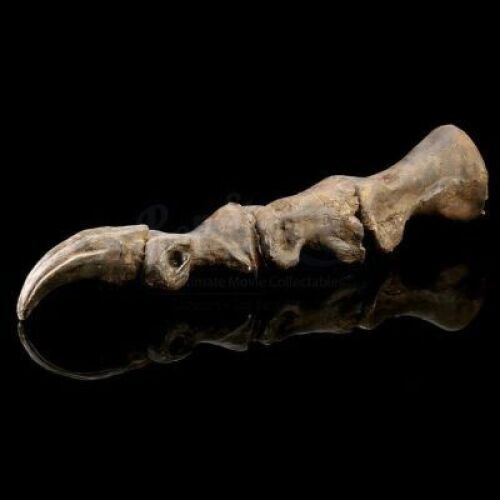 JURASSIC PARK (1993) - T-Rex Skeleton Toe