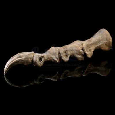 JURASSIC PARK (1993) - T-Rex Skeleton Toe