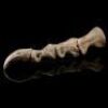 JURASSIC PARK (1993) - T-Rex Skeleton Toe