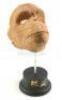 Lot #1 - 2001: A SPACE ODYSSEY (1968) - Ape Mask Appliance - 6
