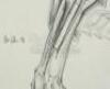 Lot #32 - ALIEN3 (1992) - Pair of Hand-Drawn Runner Concept Sketches by Tom Woodruff, Jr. and Alec Gillis - 6