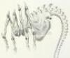 Lot #34 - ALIEN3 (1992) - Hand-Drawn Facehugger Illustration by Alec Gillis - 3