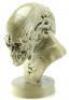 Lot #37 - ALIEN RESURRECTION (1997) - Newborn Alien Maquette - 3