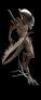 Lot #41 - ALIEN: RESURRECTION (1997) - Xenomorph Alien Display with Tail