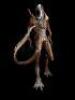 Lot #41 - ALIEN: RESURRECTION (1997) - Xenomorph Alien Display with Tail - 2