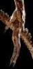 Lot #41 - ALIEN: RESURRECTION (1997) - Xenomorph Alien Display with Tail - 11