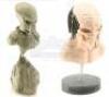 Lot #46 - AVP: ALIEN VS PREDATOR (2004) - Pair of Predator Maquettes - 2