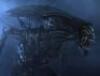 Lot #49 - AVP: ALIEN VS. PREDATOR (2004) - Xenomorph Queen Full-size Crown Casting - 12