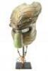 Lot #52 - AVP: ALIEN VS. PREDATOR (2004) - Patinated Elder Predator Helmet - 4