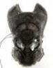Lot #54 - AVP: ALIEN VS. PREDATOR (2004)/ALIENS VS. PREDATOR: REQUIEM (2007) - Ancient Predator (Ian Whyte) and Yautja Pilot Helmet - 4