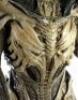 Lot #56 - ALIENS VS. PREDATOR: REQUIEM (2007) - Full-Size Predalien (Tom Woodruff, Jr.) Costume Display - 9