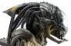 Lot #56 - ALIENS VS. PREDATOR: REQUIEM (2007) - Full-Size Predalien (Tom Woodruff, Jr.) Costume Display - 11