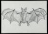 Lot #105 - BATMAN (1989) - Set of Four Hand-drawn Storyboards - 5