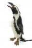 Lot #109 - BATMAN RETURNS (1992) - Animatronic Penguin - 4