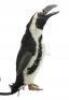 Lot #109 - BATMAN RETURNS (1992) - Animatronic Penguin - 5