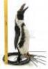Lot #109 - BATMAN RETURNS (1992) - Animatronic Penguin - 11