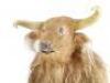 Lot #160 - CHRONICLES OF NARNIA, THE: PRINCE CASPIAN (2008) - Minotaur Mask and Bodysuit - 8