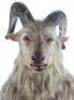 Lot #161 - CHRONICLES OF NARNIA, THE: PRINCE CASPIAN (2008) - Satyr Mask and Bodysuit - 5