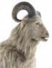 Lot #161 - CHRONICLES OF NARNIA, THE: PRINCE CASPIAN (2008) - Satyr Mask and Bodysuit - 6
