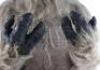 Lot #161 - CHRONICLES OF NARNIA, THE: PRINCE CASPIAN (2008) - Satyr Mask and Bodysuit - 7