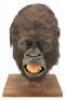 Lot #182 - CONGO (1995) - Animatronic Amy (Lorene Noh) Screaming Head