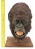 Lot #182 - CONGO (1995) - Animatronic Amy (Lorene Noh) Screaming Head - 8