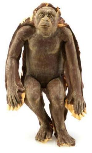 gorilla様 PUBLIC GENERAL143cm gorilla様 PUBLIC GENERAL143cm 楽天市場】エクストララージ