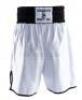 Lot #186 - CREED (2015) - Adonis Creed's (Michael B. Jordan) Boxing Shorts - 4